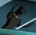 Ace The Bat Hound DCAU