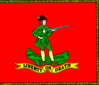 Flag 795