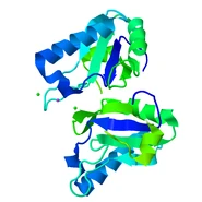 3V4M dimer.pdb