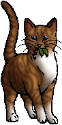 Fawnstep.mc