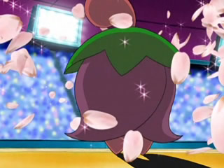 http://images4.wikia.nocookie.net/__cb20120818101415/pokemonfanon/images/d/d6/Cherrim-Dark-Anime.png