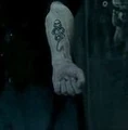 DarkMark DracoMalfoyArm.jpg