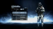 AN-94 ACOG
