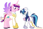 The wedding of Gleaming Shield and Prince Bolero