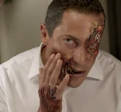 202-Renard morphed3