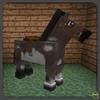 Skewbald Horse