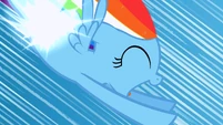 Filly Rainbow Dash's flank shining S1E23