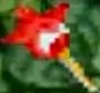 Hummingbird1.jpg (2 KB) Hummingbird1
