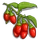 Red Goji Berry-icon