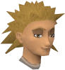 Sassilik (Rellekka) chathead