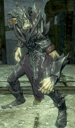 FalmerWarmonger