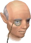 Spanfipple chathead