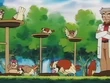 EP067 Pidgey y Pedgeotto