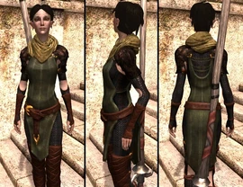 DA2 Vestments of the First - Merrill companion armor