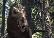 Jackforest