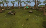 Pawya hunting area