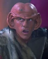 Letek.jpg