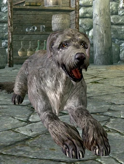 Ysgramor dog