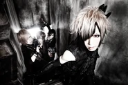 DIAURA new look