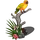 Sun Parakeet-icon