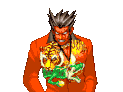 Tigre Angry 1