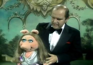 Deluisepiggy
