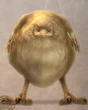 Ffxii-chickatrice