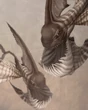 Focalor FFXII