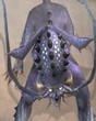 Panther FFXII