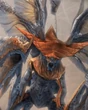 PreyingMantis FFXII