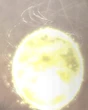 Sylphi Entite