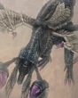 Twintania (FFXII)