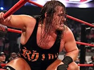 Rhyno