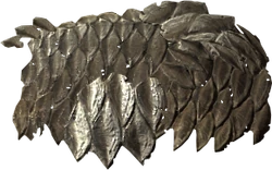 Slaughterfish scales
