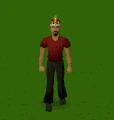 Diamond crown celebrate.gif