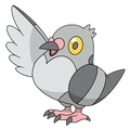 Pidove (anime NB).png