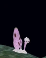 Fungal growth.gif