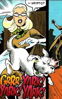 Krypto