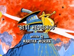 Best Hedgehog