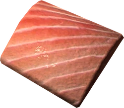 Salmon meat