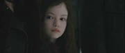 Bd2-renesmee
