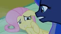 Fluttershy scared2 S02E04.png