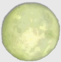 Jolly Roger moon