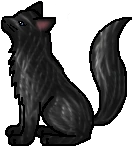 Aspentail.warrior