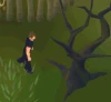 Roundhouse Woodcutting