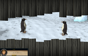 Spying penguins