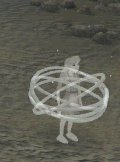 Summer in rings