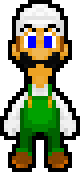 FIRE LUIGI