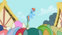 Rainbow Dash enjoying the attention S2E08