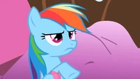 Rainbow Dash Ponyville got S2E8